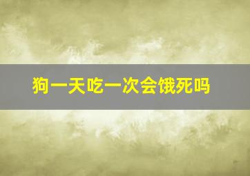 狗一天吃一次会饿死吗