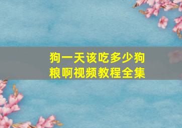 狗一天该吃多少狗粮啊视频教程全集