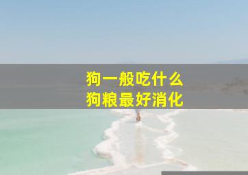 狗一般吃什么狗粮最好消化