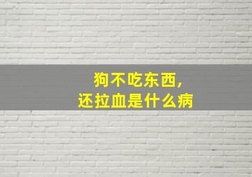 狗不吃东西,还拉血是什么病