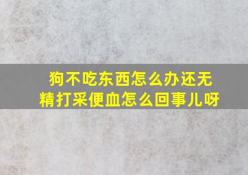 狗不吃东西怎么办还无精打采便血怎么回事儿呀