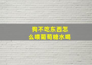 狗不吃东西怎么喂葡萄糖水喝