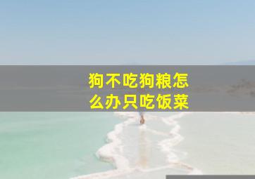 狗不吃狗粮怎么办只吃饭菜