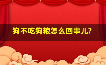 狗不吃狗粮怎么回事儿?