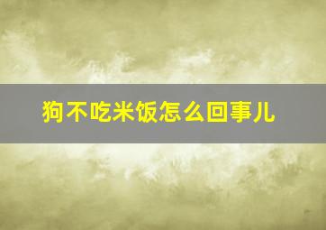 狗不吃米饭怎么回事儿