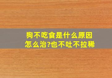 狗不吃食是什么原因怎么治?也不吐不拉稀