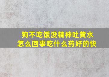 狗不吃饭没精神吐黄水怎么回事吃什么药好的快