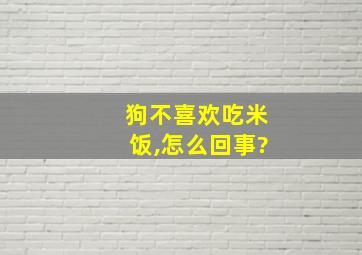 狗不喜欢吃米饭,怎么回事?