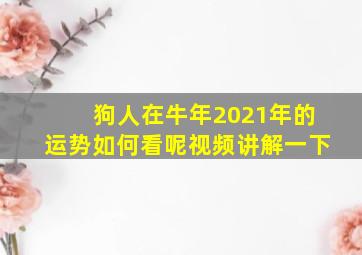 狗人在牛年2021年的运势如何看呢视频讲解一下