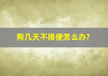 狗几天不排便怎么办?