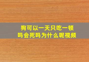 狗可以一天只吃一顿吗会死吗为什么呢视频