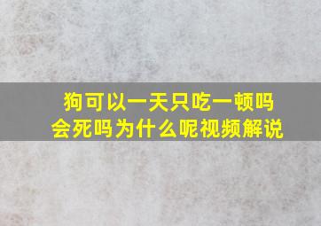 狗可以一天只吃一顿吗会死吗为什么呢视频解说