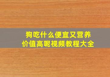 狗吃什么便宜又营养价值高呢视频教程大全