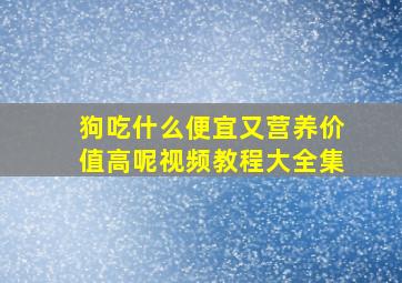 狗吃什么便宜又营养价值高呢视频教程大全集