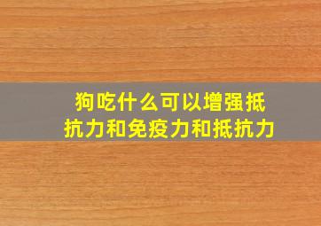 狗吃什么可以增强抵抗力和免疫力和抵抗力