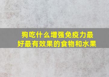 狗吃什么增强免疫力最好最有效果的食物和水果