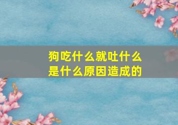 狗吃什么就吐什么是什么原因造成的