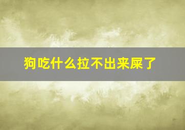 狗吃什么拉不出来屎了