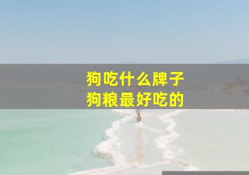 狗吃什么牌子狗粮最好吃的