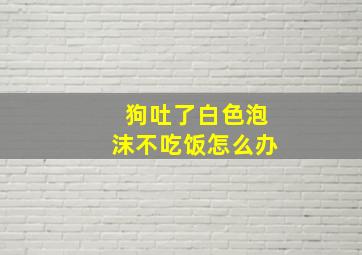 狗吐了白色泡沫不吃饭怎么办