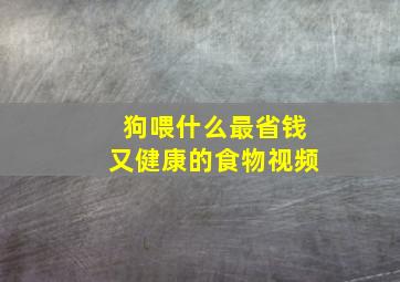 狗喂什么最省钱又健康的食物视频