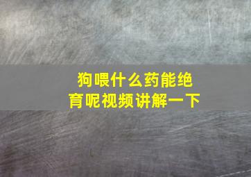 狗喂什么药能绝育呢视频讲解一下