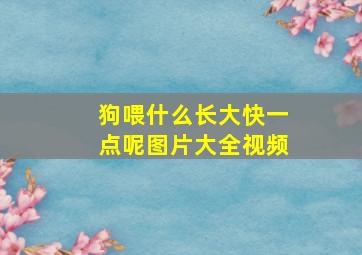 狗喂什么长大快一点呢图片大全视频