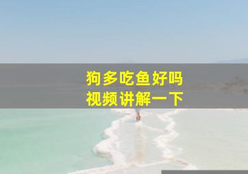 狗多吃鱼好吗视频讲解一下