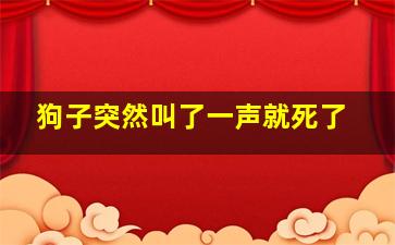 狗子突然叫了一声就死了