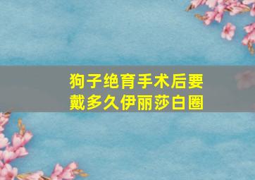 狗子绝育手术后要戴多久伊丽莎白圈