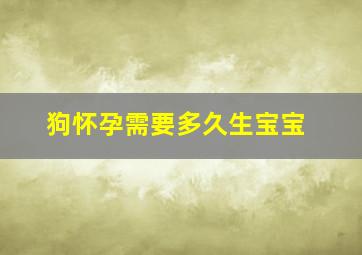 狗怀孕需要多久生宝宝