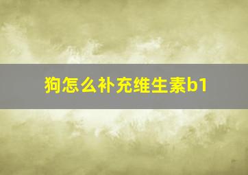 狗怎么补充维生素b1