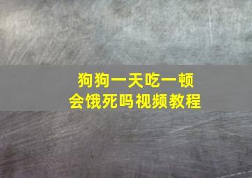 狗狗一天吃一顿会饿死吗视频教程