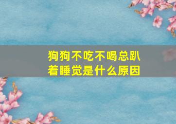 狗狗不吃不喝总趴着睡觉是什么原因