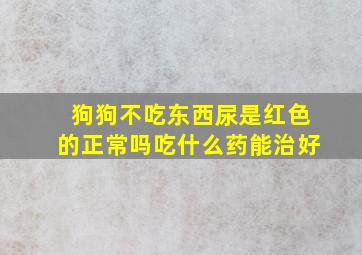 狗狗不吃东西尿是红色的正常吗吃什么药能治好