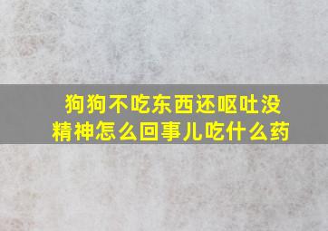 狗狗不吃东西还呕吐没精神怎么回事儿吃什么药