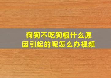 狗狗不吃狗粮什么原因引起的呢怎么办视频