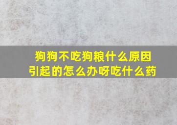 狗狗不吃狗粮什么原因引起的怎么办呀吃什么药