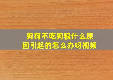 狗狗不吃狗粮什么原因引起的怎么办呀视频