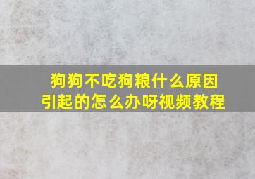 狗狗不吃狗粮什么原因引起的怎么办呀视频教程