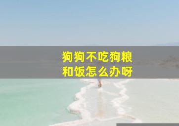 狗狗不吃狗粮和饭怎么办呀