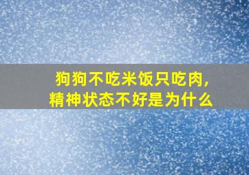 狗狗不吃米饭只吃肉,精神状态不好是为什么