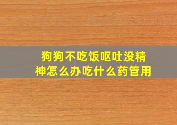 狗狗不吃饭呕吐没精神怎么办吃什么药管用