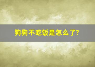 狗狗不吃饭是怎么了?