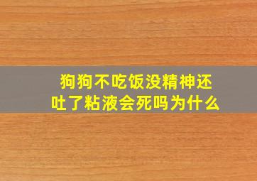 狗狗不吃饭没精神还吐了粘液会死吗为什么