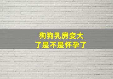 狗狗乳房变大了是不是怀孕了