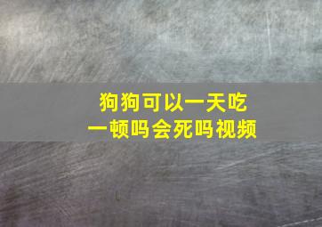 狗狗可以一天吃一顿吗会死吗视频