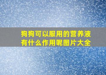 狗狗可以服用的营养液有什么作用呢图片大全