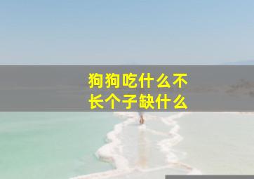 狗狗吃什么不长个子缺什么