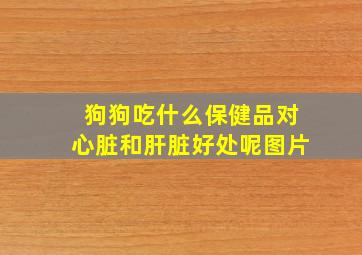 狗狗吃什么保健品对心脏和肝脏好处呢图片